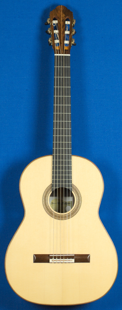 front concert model